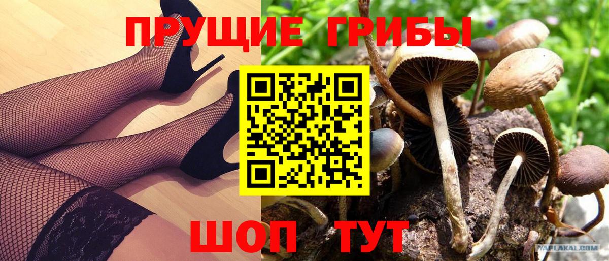 Кыштым  Псилоцибиновые грибы Psilocybe  Вход с VPN 